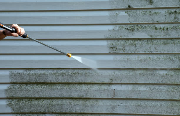 Boat and Dock Cleaning in Big Lake, AK