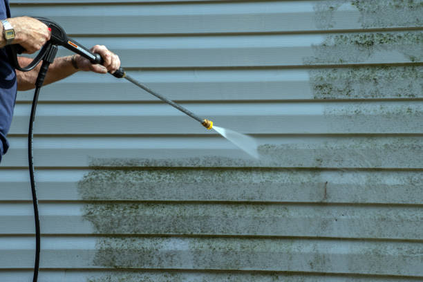 Best House Exterior Washing  in Big Le, AK