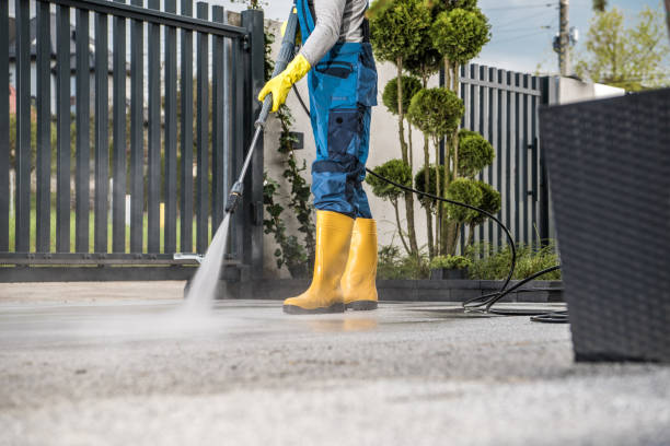 Best Gutter Cleaning  in Big Le, AK